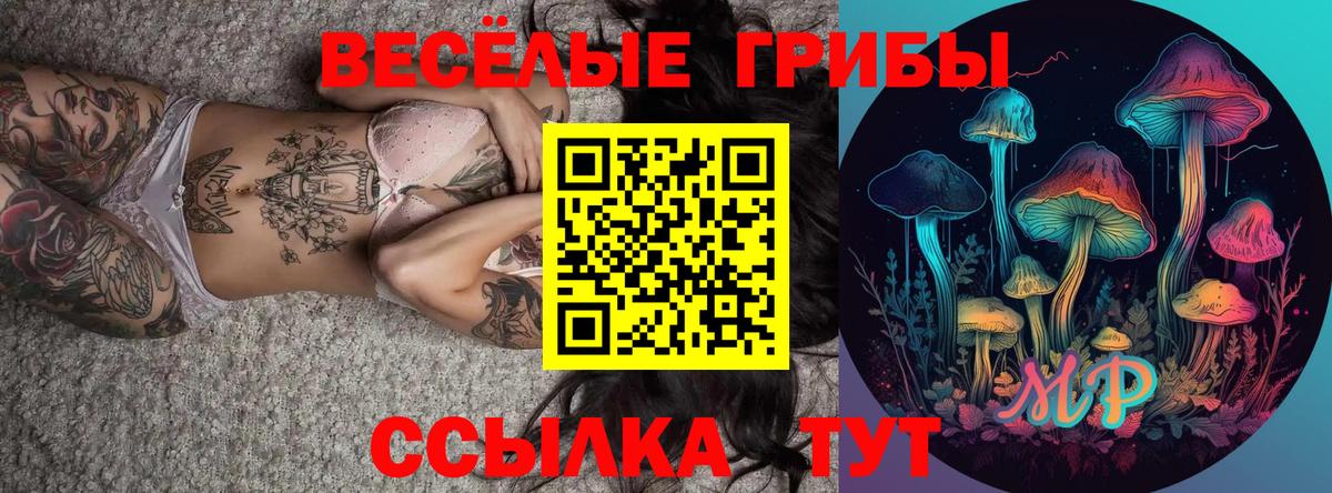 Соль-Илецк  Галлюциногенные грибы MAGIC MUSHROOMS  Вход с VPN 