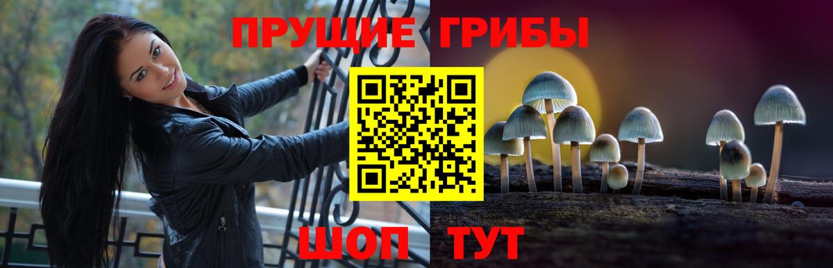 Галлюциногенные грибы мухоморы Соль-Илецк